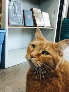 Book Corner Used Bookstore Philadelphia