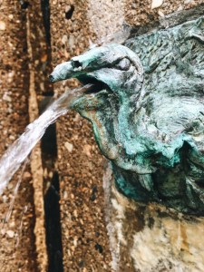 Picnic Spot Philadelphia