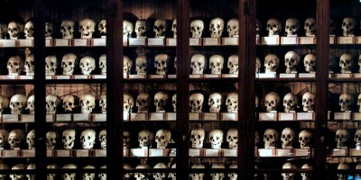 The Mutter Museum's wall of skulls