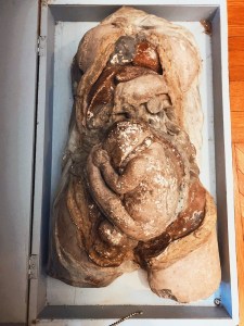 Historic Pennsylvania Hospital Philadelphia