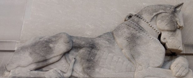 D1E8DD55-D534-4EA9-B9B6-8C641E451E1D