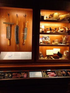 Academy of Natural Sciences Philadelphia