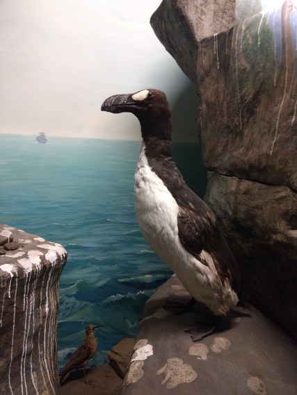 IMG_20180104_124247585