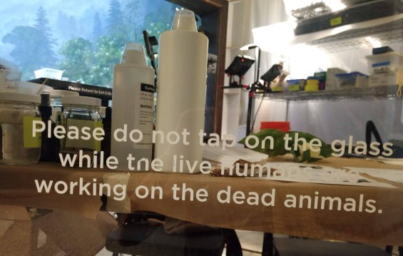 Academy of Natural Sciences Philadelphia