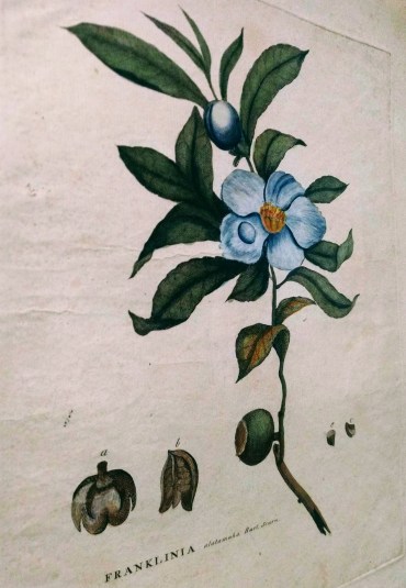 American Philosophical Society Philadelphia