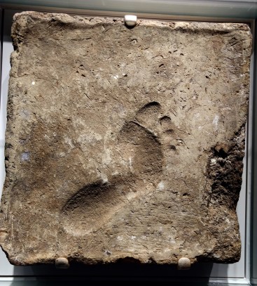 University of Pennsylvania Museum of Archaeology and Anthropology