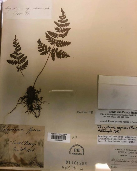 Academy of Natural Sciences