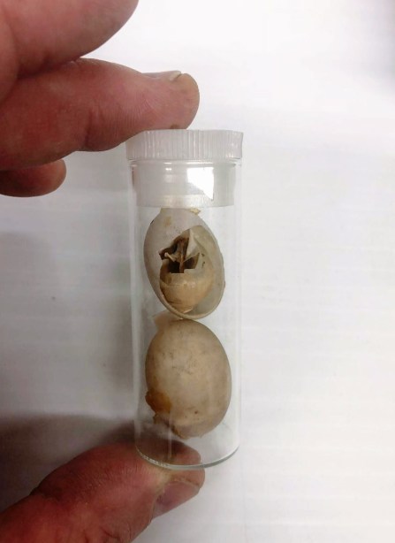 Academy of Natural Sciences