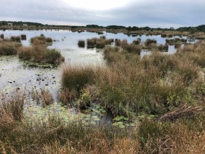 Franklin Parker Preserve