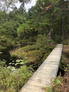 Franklin Parker Preserve