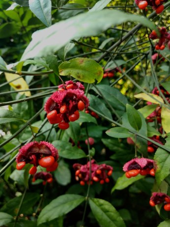 img_20181004_104737666