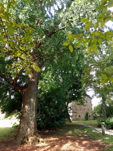 img_20181004_111201971