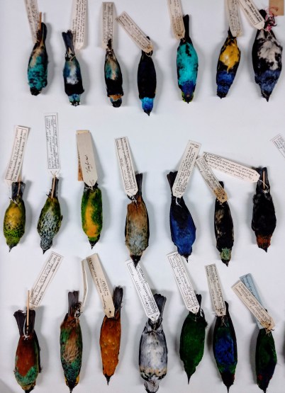 Academy of Natural Sciences