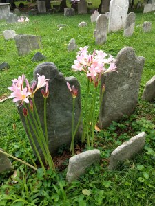 St. Peters Philadelphia