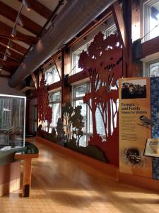 John Heinz National Wildlife Refuge Philadelphia