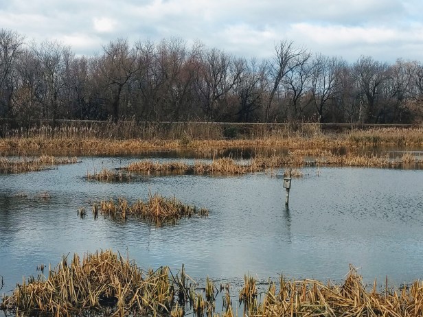 img_20181128_133452122