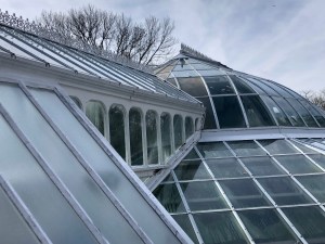 Fernery Morris Arboretum Philadelphia