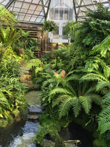 Fernery Morris Arboretum Philadelphia
