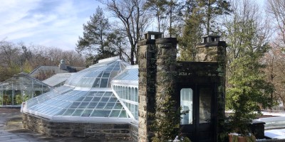 Fernery Morris Arboretum Philadelphia