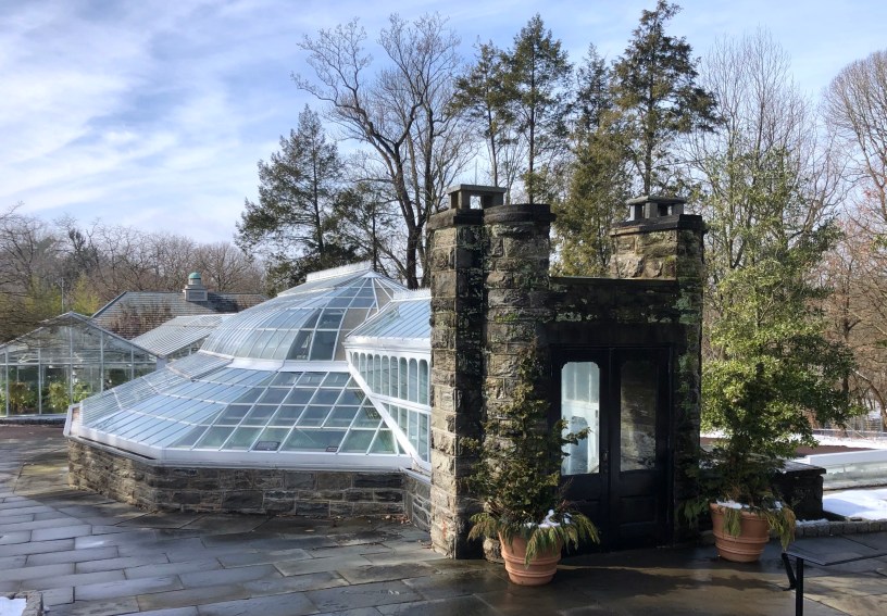 Fernery Morris Arboretum Philadelphia