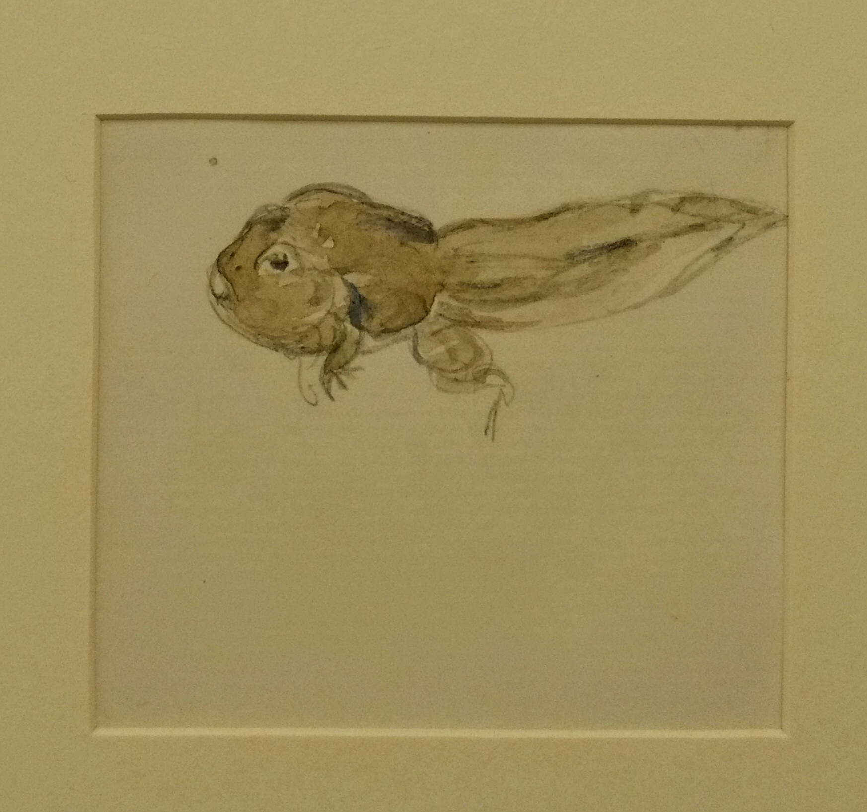 Free Library Rare Book Department Philadelphia