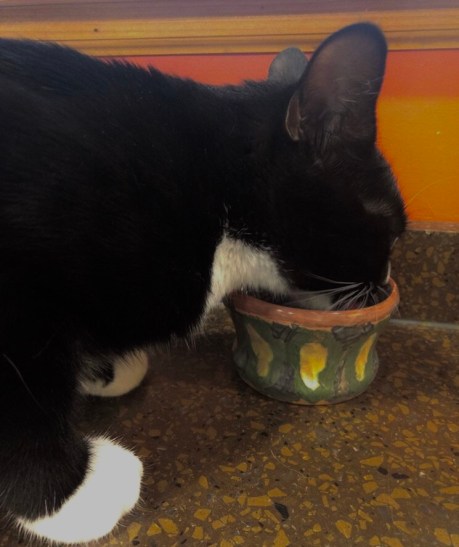 Clay Studio Philadelphia