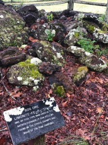 Batsto Village New Jeresey