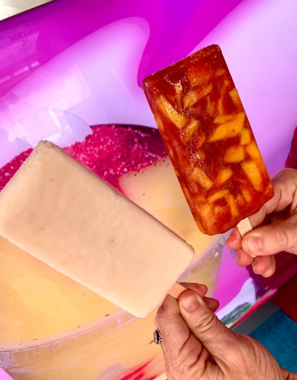 Paletas La Guerrerense Philadelphia