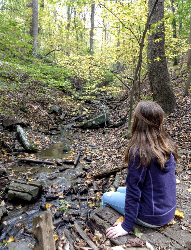 Schuylkill Center Philadelphia