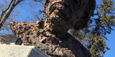 Albert Einstein Princeton NJ