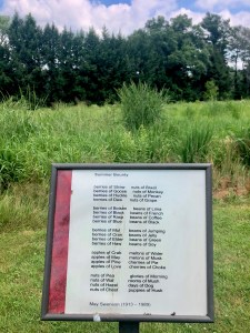 Poetry Walk Princeton NJ