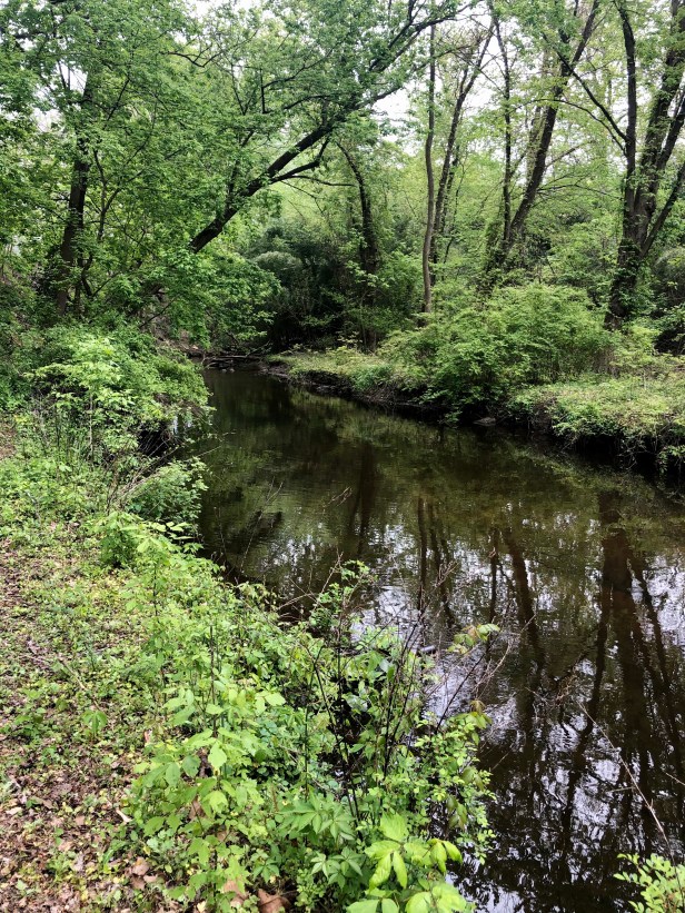 Walt Whitman Laurel Springs NJ