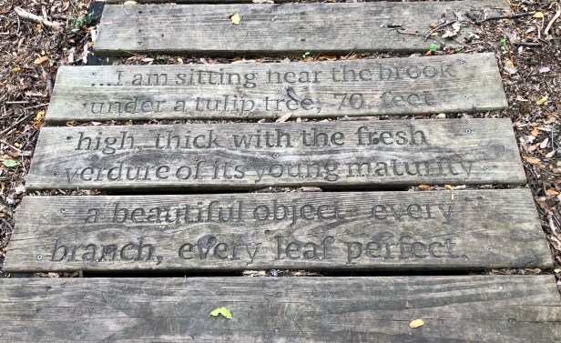 Walt Whitman Laurel Springs NJ