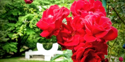 Grounds for Sculpture Hamilton NJ