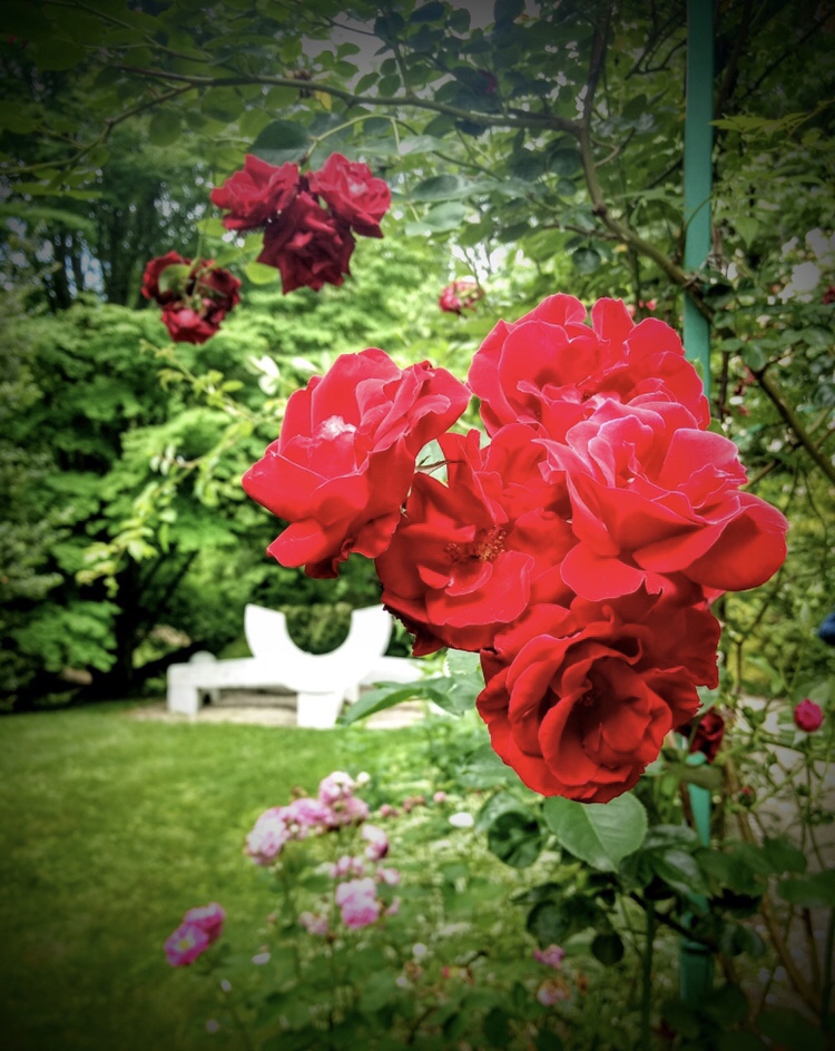 Grounds for Sculpture Hamilton NJ