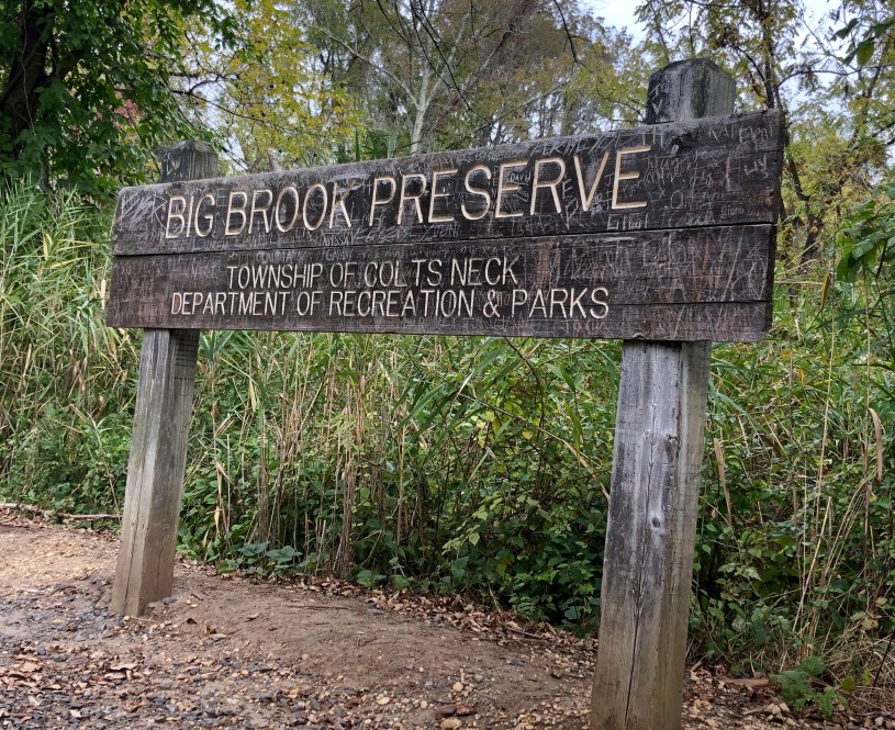 Big Brook fossil collecting New Jersey