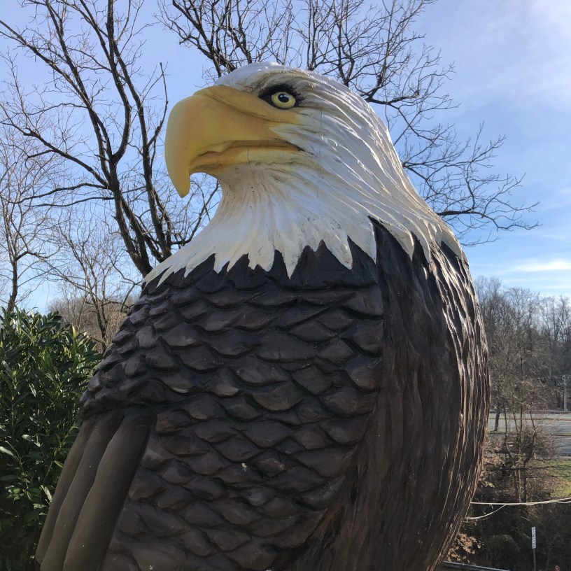 Eagles, Conowingo Dam