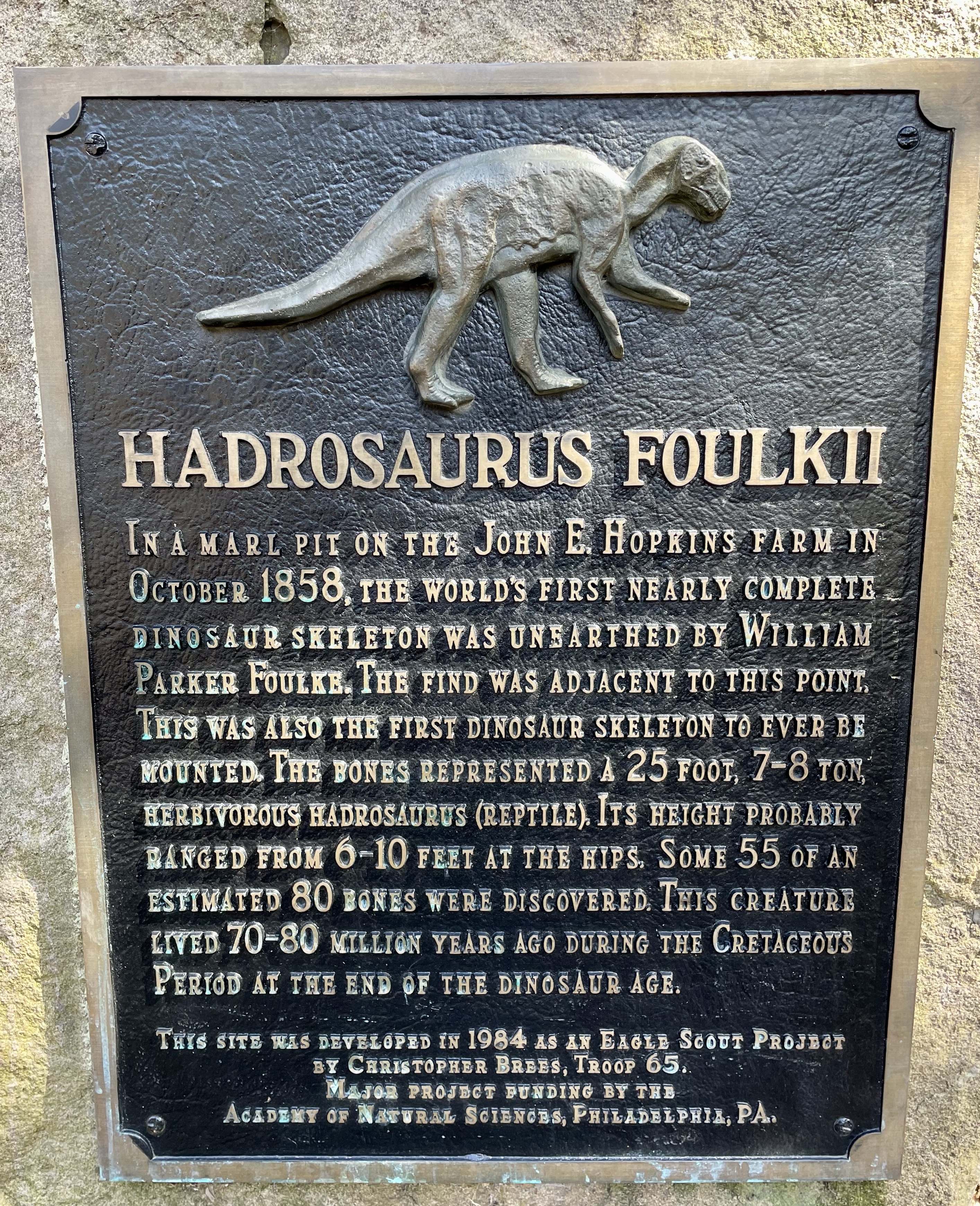 Hadrosaur, New Jersey