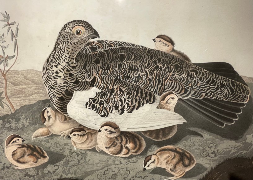 Audubon Museum, Philadelphia