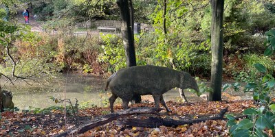 Crystal Palace Dinosaurs, London