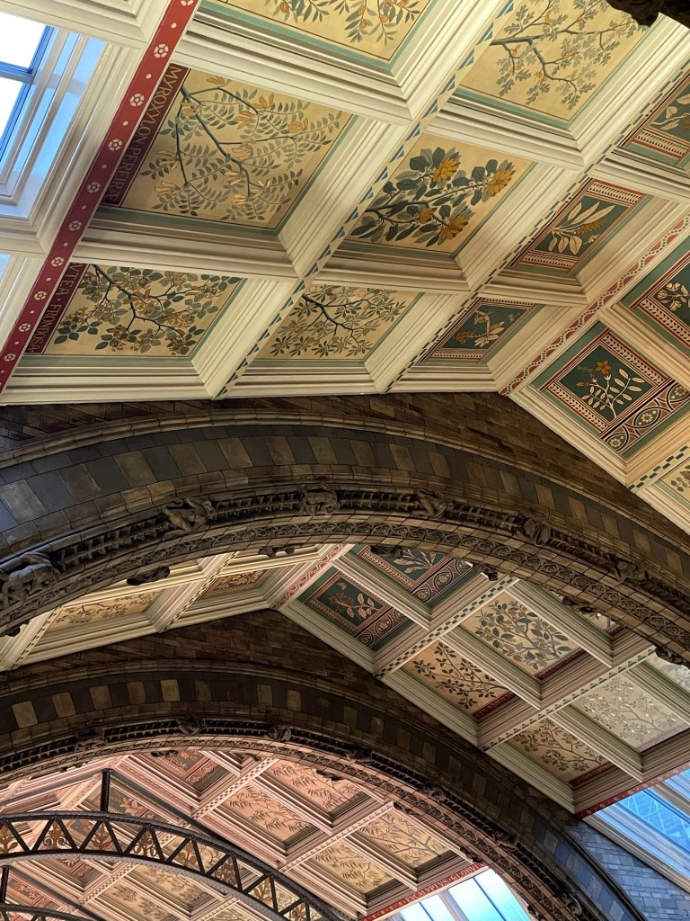Natural history museum, London