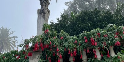 Hearst Castle, California