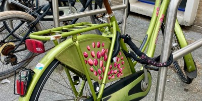 Dutch tulip bike