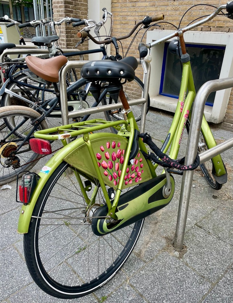 Dutch tulip bike