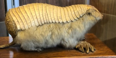 Geology Museum, Rutgers