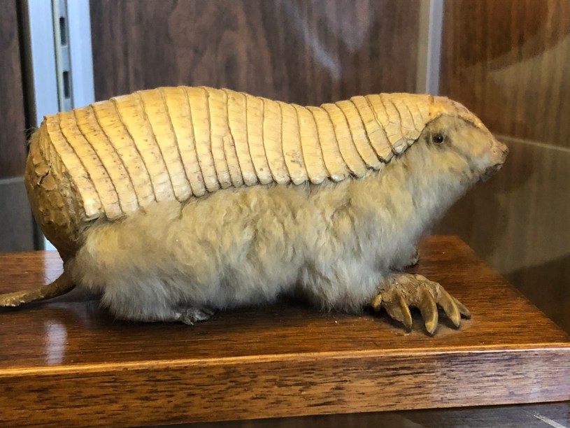 Geology Museum, Rutgers