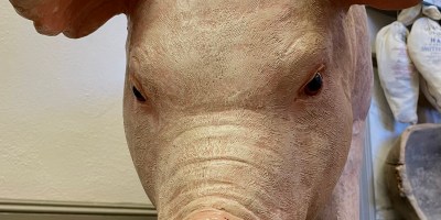 Isle of Wight Museum, VA