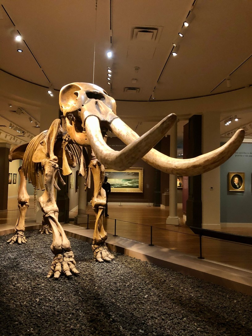 Peale’s Mastodon