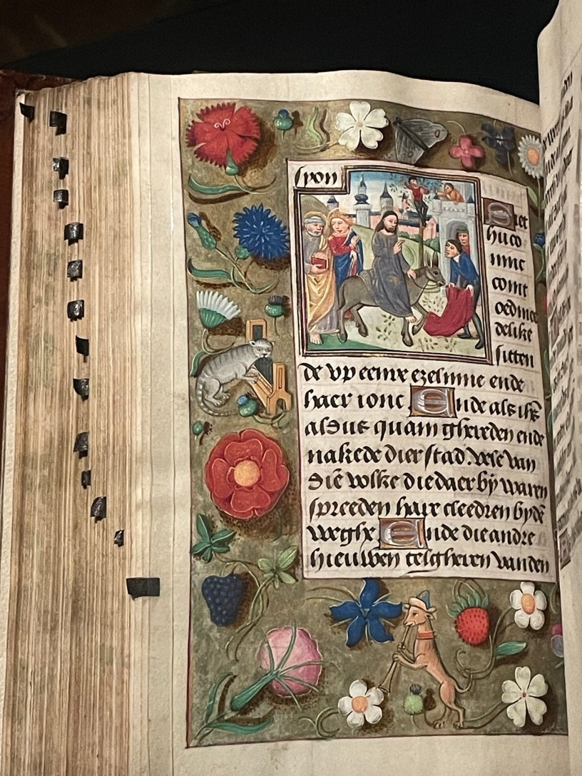 Medieval cats