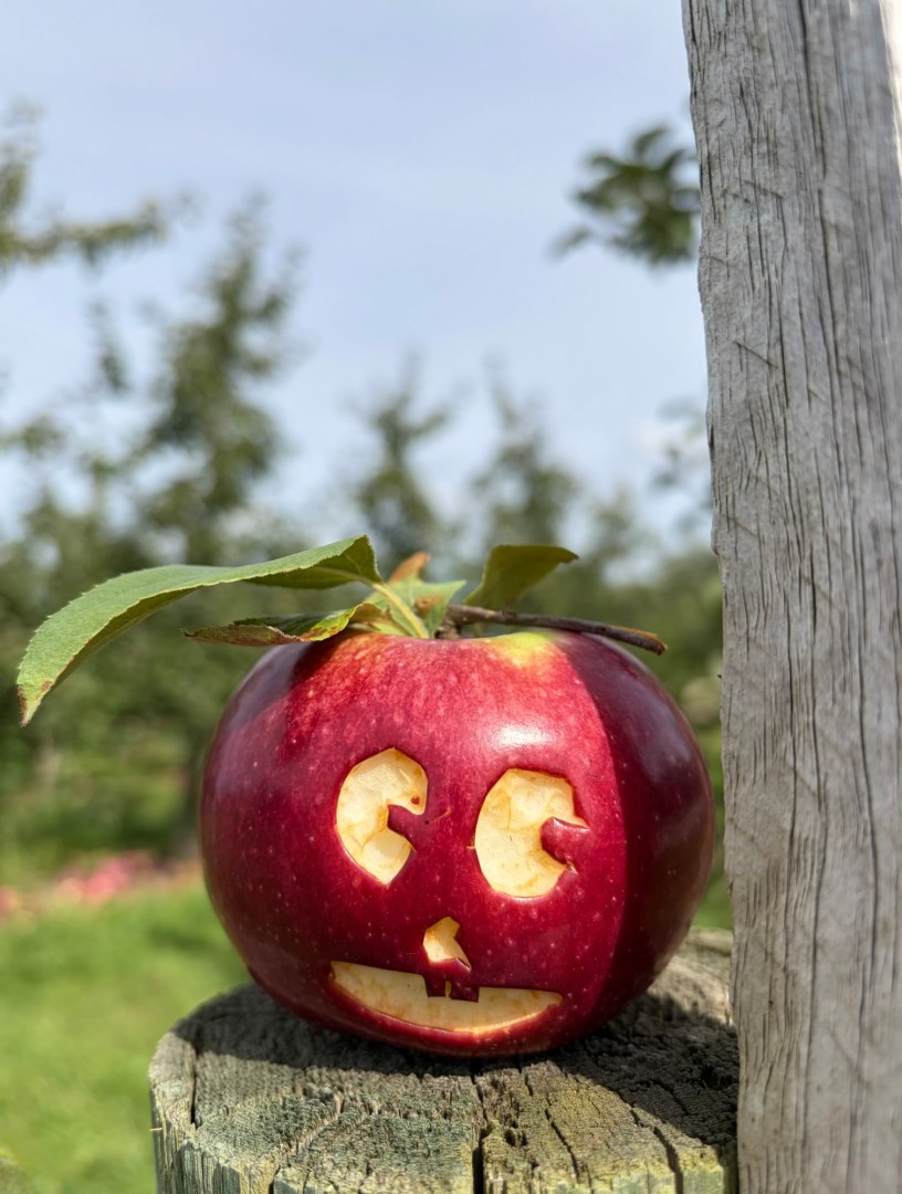 NY apples